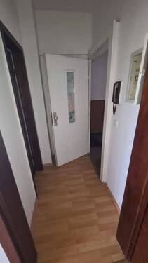 20250723_110440 - Singlewohnung in ruhiger Lage zu vermieten.