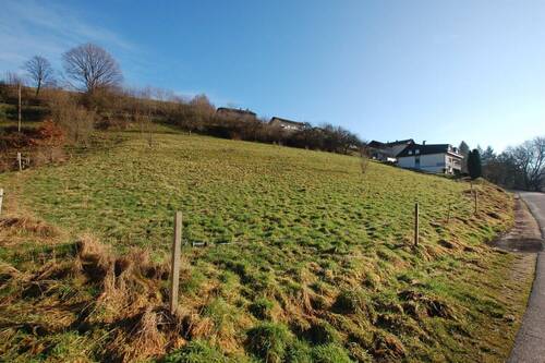 DSC 0183 - STARK REDUZIERT! - Großzügiges Baugrundstück in Gammelsbach zu verkaufen!