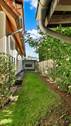 Garten (2) - 