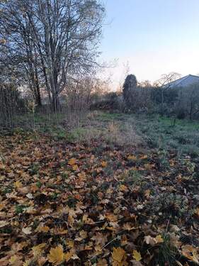 IMG_20251106_164000.jpg - Grundstück zum Kaufen in Hohen Neuendorf