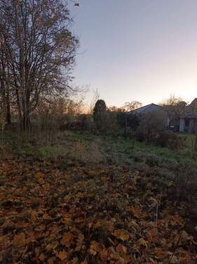 IMG_20251106_164009.jpg - Grundstück in Hohen Neuendorf