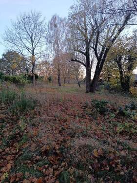 IMG_20251106_163911.jpg - Grundstück in Hohen Neuendorf zum Kaufen