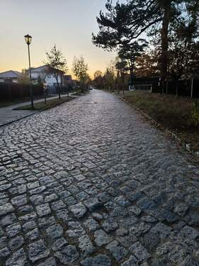 IMG_20251106_164423.jpg - 