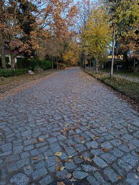 IMG_20251106_164500.jpg - 