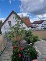 Terrasse gen Osten - 