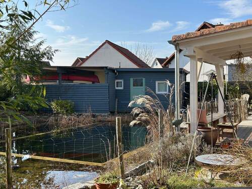 Blick in den Garten - 