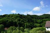 Aussicht - 5 Zimmer Einfamilienhaus zum Kaufen in Schiltach