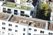 MayRoofTop - 