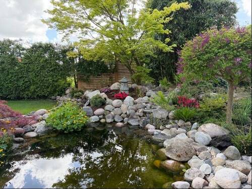 Teich mit Bachlauf - 