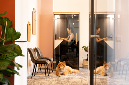 Phoneboxes - Büro mit 24,00 m&sup2; in Berlin zur Miete