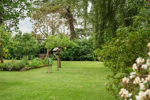 Blick in den Garten - 