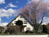 Bild 2 - 6 Zimmer Einfamilienhaus zum Kaufen in Büttelborn
