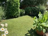Bild 8 - 