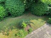 Blick in den Garten - 
