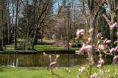 Bild 3 - 4 Zimmer Einfamilienhaus in Neuruppin