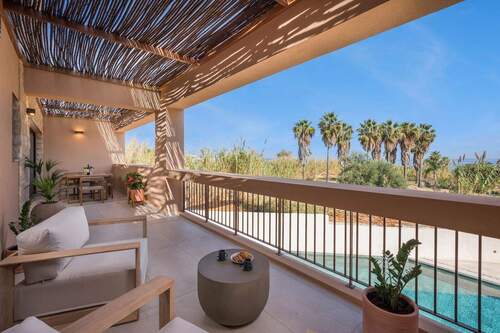 Olive Courtyard Collection - 