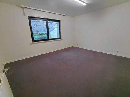 Zimmer EG 2. Wohnung - 