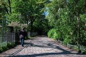 Volkspark Friedrichhain - 