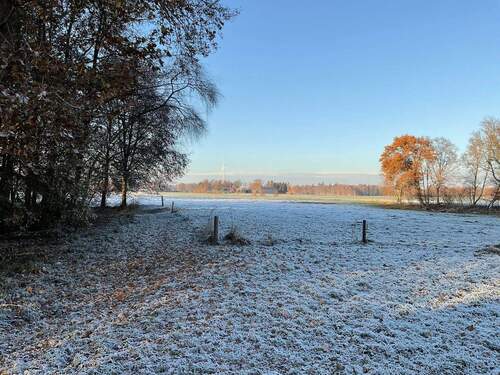 Blick auf die Weide - 