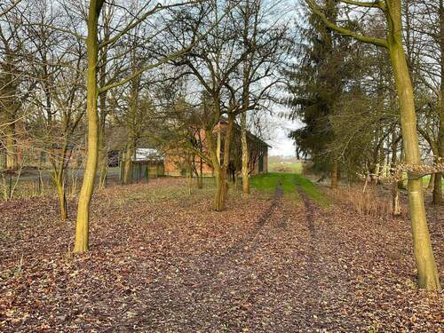 zweite Zufahrt zur Scheune und zur Weide - 