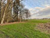 Wiese und Wald - 