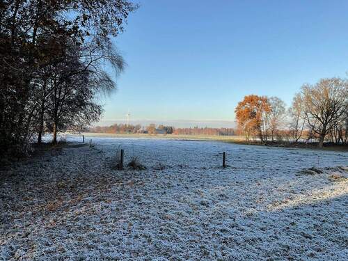 Blick auf die Weide - 