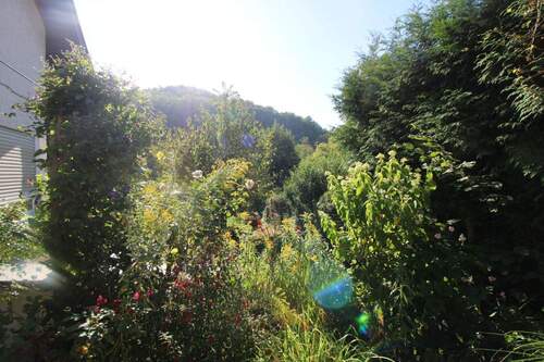 Ausblick Terrasse1 - 