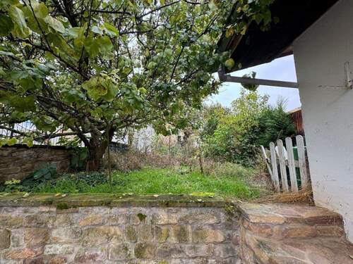 Garten - Einfamilienhaus mit 200,00 m&sup2; in Stein-Bockenheim zum Kaufen