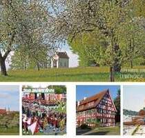 LEBENDIG | ÜBERZEUGEND | MODERN - 2,5-Zimmer Dachgeschoss-Wohnung in Hohentengen