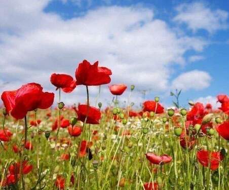 naturverbunden - 2 Zimmer Etagenwohnung in Hohentengen