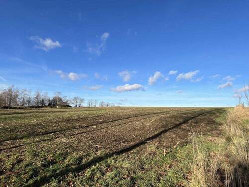 Die nahen Felder - Grundstück in Dresden