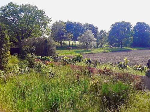 Ihr neuer Ausblick? - 