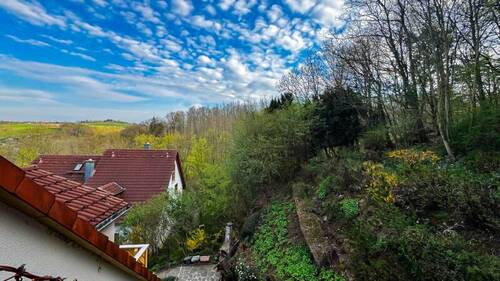 Ausblick - 