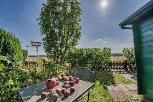 Garten - 3 Zimmer Reihenmittelhaus in Braunschweig
