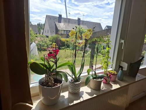 Sicht in den Garten aus EG - 
