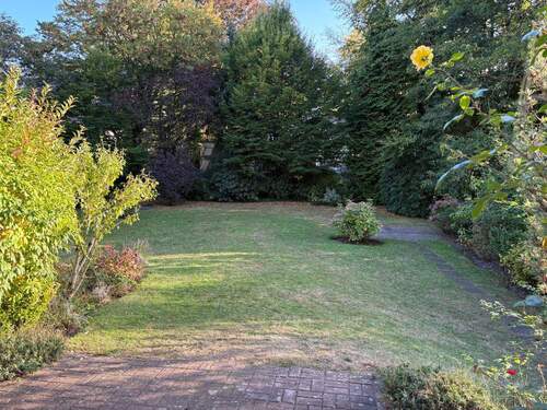 Blick in den Garten - 