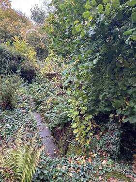 00106 - Grundstück zum Kaufen in Leinsweiler