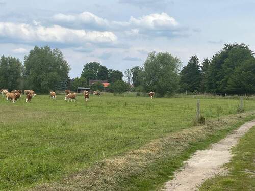 Bild 3 - Grundstück in Neu Hartmannsdorf/Spreenhagen