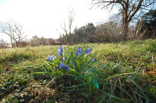 DSC_00101.JPG - Baugrundstück in Wassernähe - 75.000,00 EUR Kaufpreis, ca.  0,00 m²