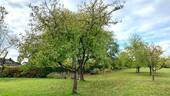 Gartenansicht - 