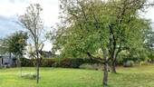 Gartenansicht - 