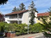 Seitenansicht - 8 Zimmer Einfamilienhaus in Ingelheim am Rhein