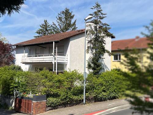 Seitenansicht - 8 Zimmer Einfamilienhaus in Ingelheim am Rhein