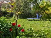 Garten - Einfamilienhaus mit 170,00 m&sup2; in Ingelheim am Rhein zum Kaufen