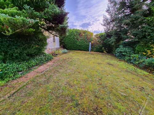 Blick in den Garten - 