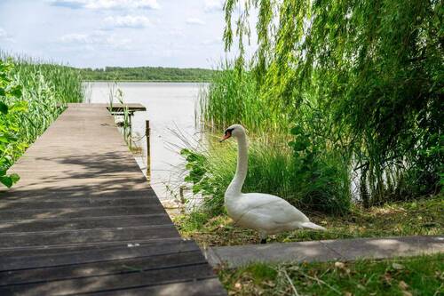 Privater Steg - 3 Zimmer Einfamilienhaus in Am Mellensee