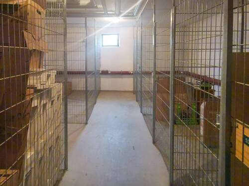 Aufgeräumter Kellerbereich - 