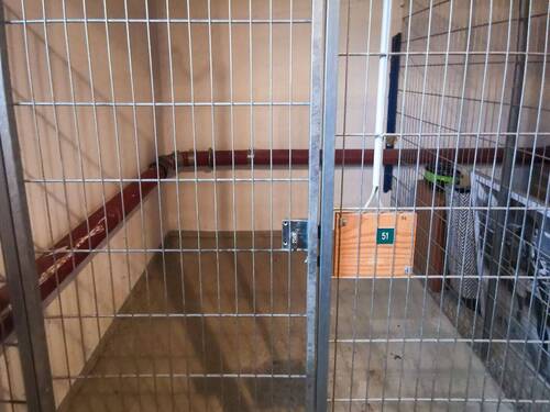 Keller zur Wohnung - 