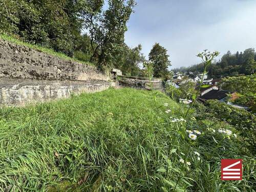 Teilansicht I Garten - 