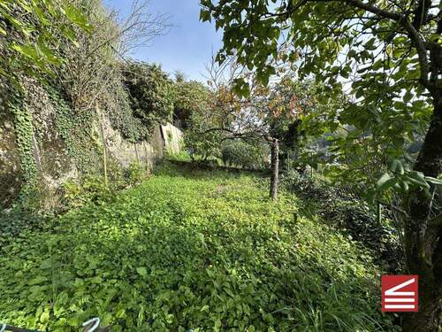 Teilansicht II Garten - 